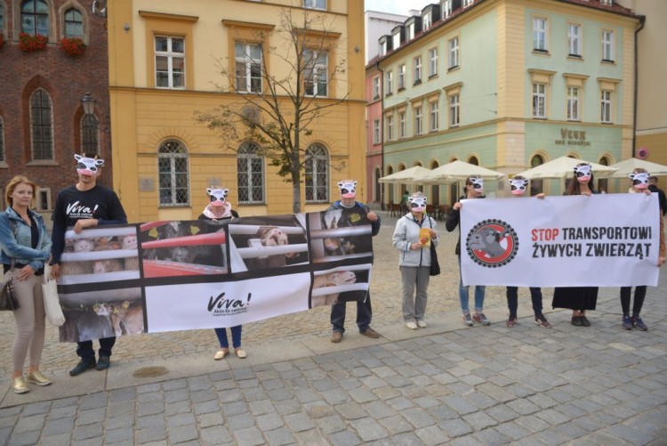 Wrocław: protestowali przeciwko długodystansowemu transportowi zwierząt [ZDJĘCIA], Wojciech Bolesta